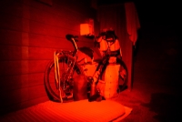 https://www.thismightnotbe-me.wholegraincycles.com/files/gimgs/th-249_260323-194115_a6400.jpg
